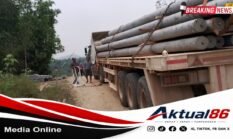 Kabar Gembira, Tiang Listrik Tiba di Dusun Segok Sebaboi, Warga Sambut dengan Antusias